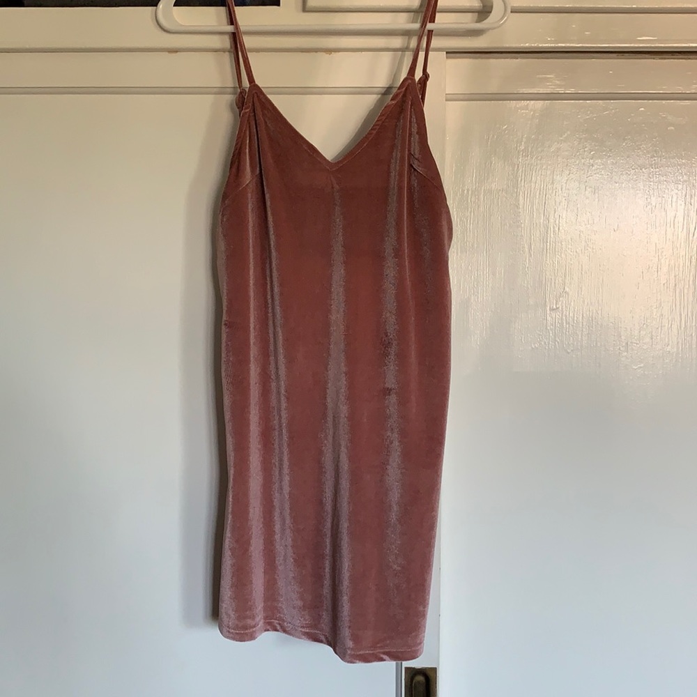 NWT Pink velvet dress